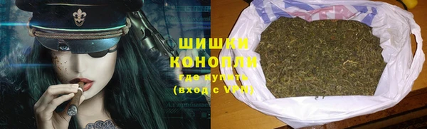 прущие грибы Арсеньев