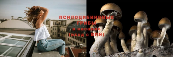 прущие грибы Арсеньев