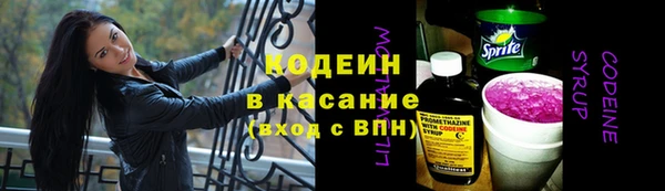 прущие грибы Арсеньев