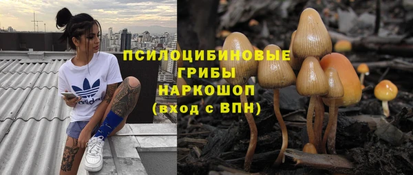 прущие грибы Арсеньев