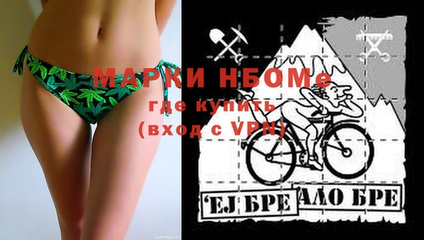 стаф Зерноград